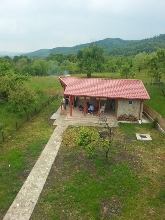 Pensiunea Agroturistica Ioana Bradulet Экстерьер фото