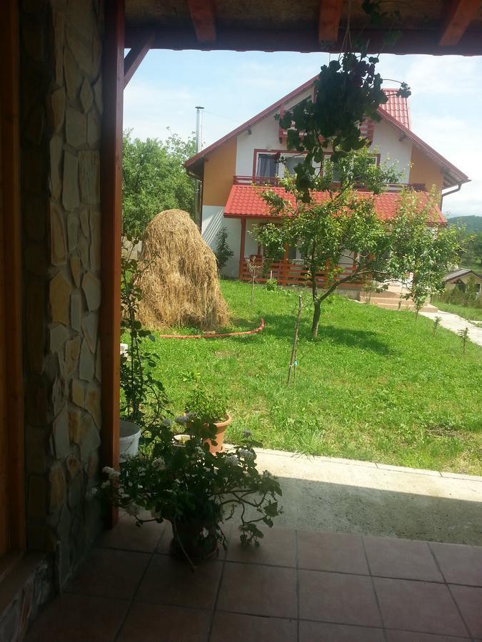 Pensiunea Agroturistica Ioana Bradulet Экстерьер фото